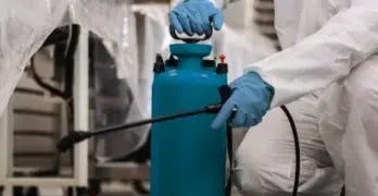 Pest Control Preparation Tips