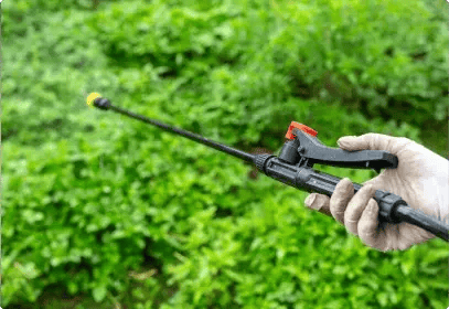 pest-control-silverfish